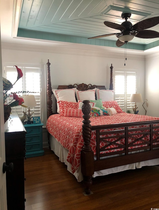 bedroom with multiple windows, a tray ceiling, dark hardwood / wood-style floors, and ceiling fan