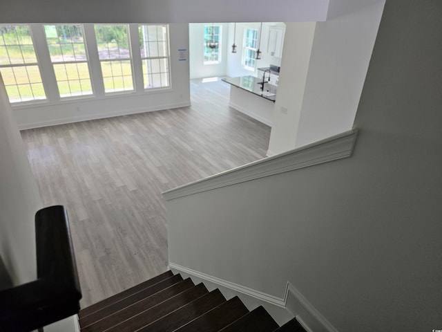 stairs with hardwood / wood-style flooring