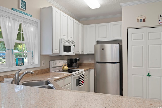 1100 Commons Blvd Unit 104, Myrtle Beach, SC 29572 - kitchen featuring white appliances, light countertops, crown molding, white cabinetry, and a textured ceiling