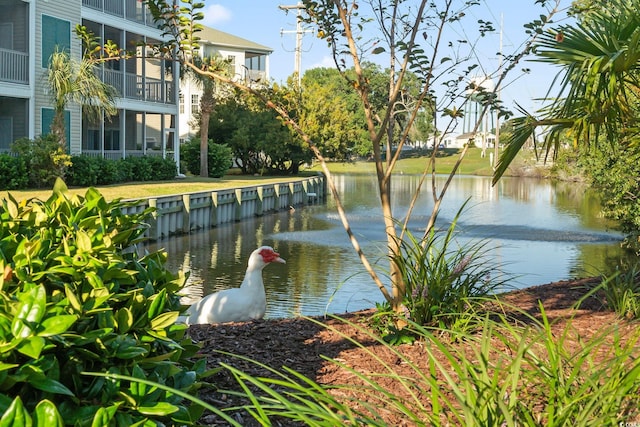 1100 Commons Blvd Unit 104, Myrtle Beach, SC 29572 - water view