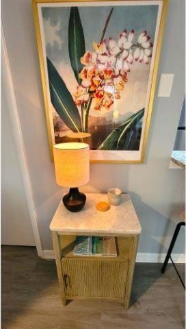 10166 Beach Dr Unit 5306, Calabash, NC 28467 - detailed view of baseboards and wood finished floors