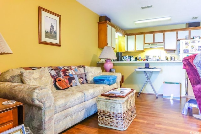 living room with light hardwood / wood-style flooring