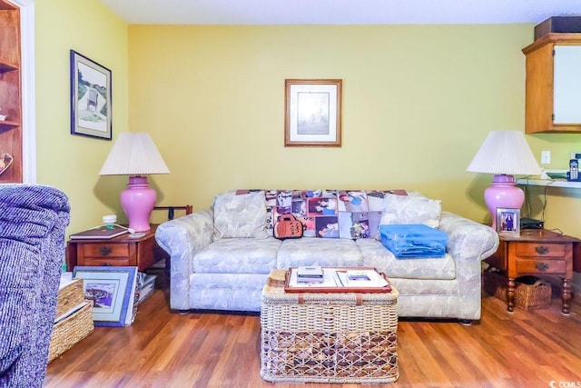 living room with dark wood-type flooring