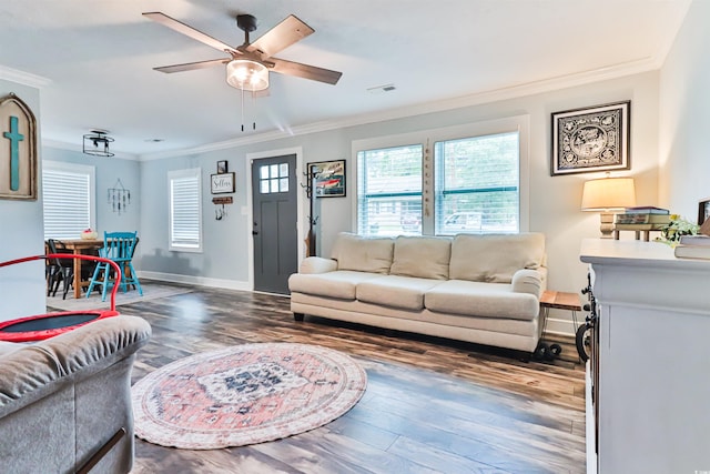 living room featuring ornamental molding, ceiling fan, and dark wood-type flooring