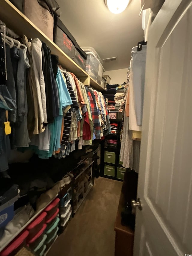 view of spacious closet