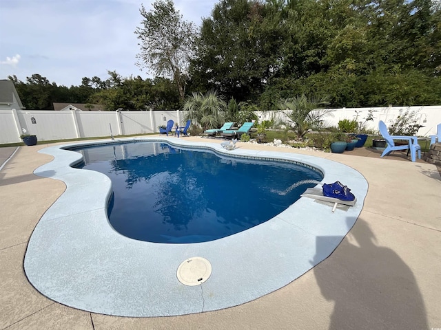 view of swimming pool with a patio, a fenced backyard, and a fenced in pool