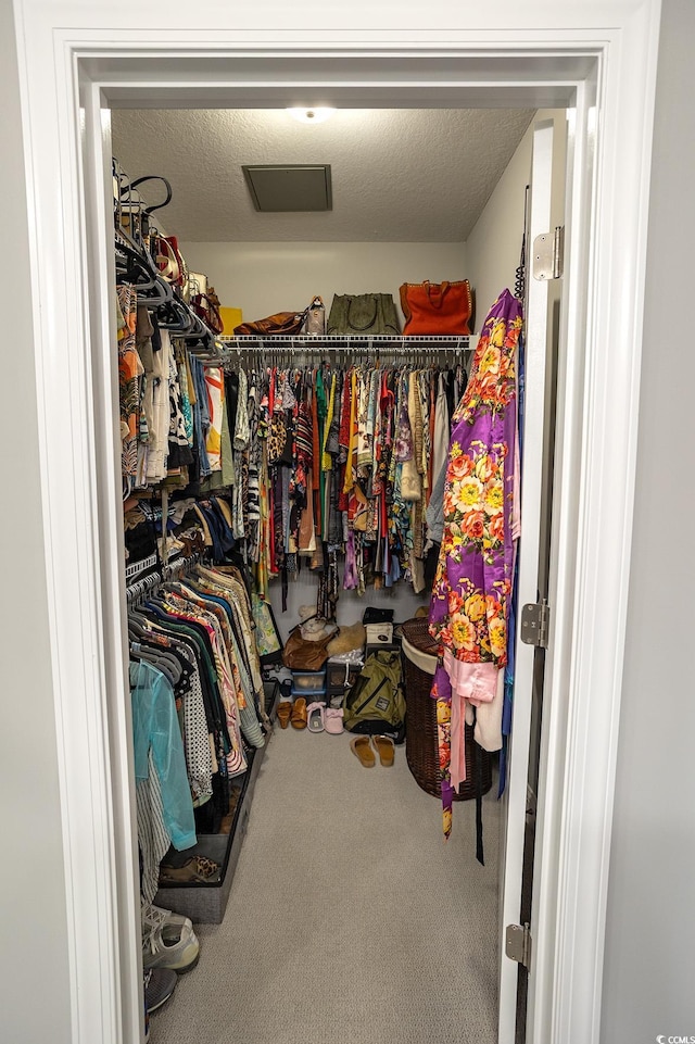 949 Jackline Pl Unit 103, Murrells Inlet, SC 29576 - spacious closet with carpet floors