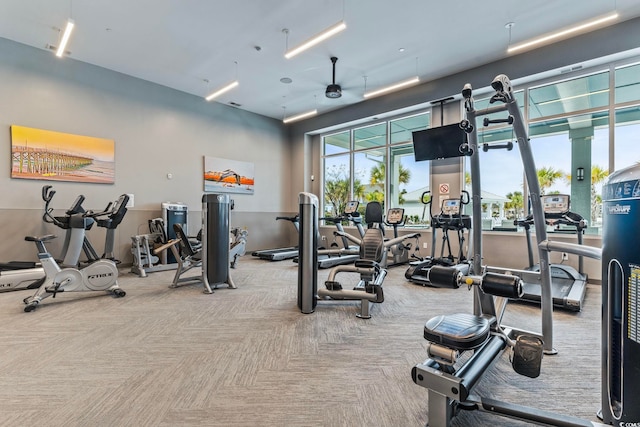 exercise room with carpet flooring and ceiling fan