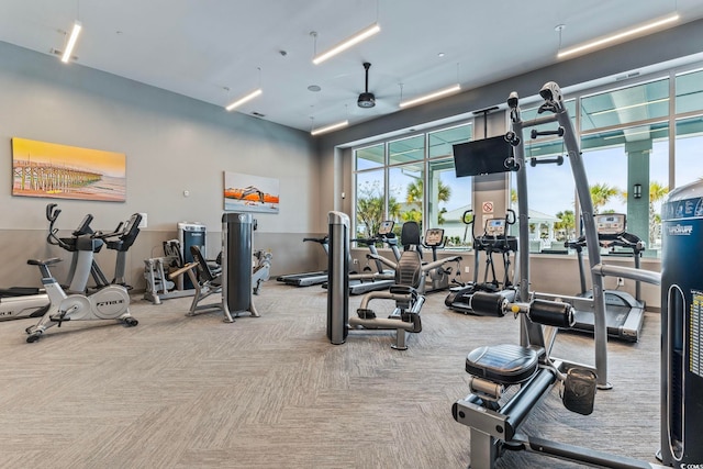 gym featuring carpet