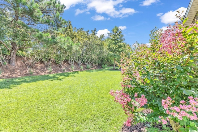 3154 Shorecrest Bay Dr, Murrells Inlet, SC 29576 - view of yard