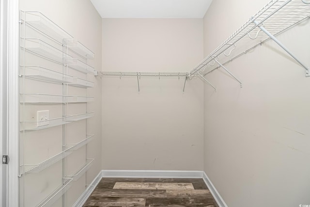 walk in closet featuring dark hardwood / wood-style floors