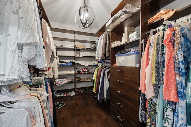 walk in closet with hardwood / wood-style floors