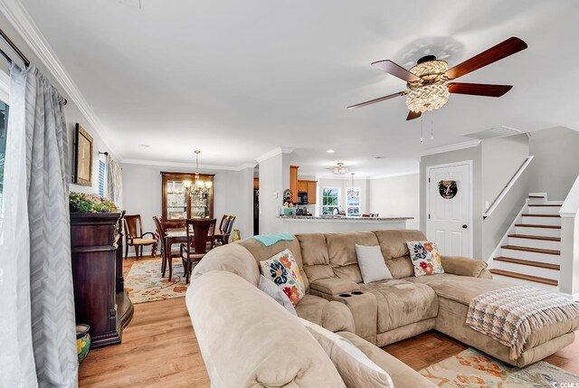 living room with ceiling fan with notable chandelier, light wood-type flooring, and crown molding