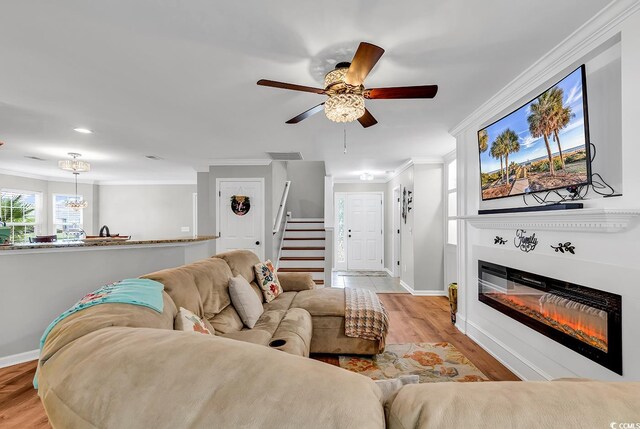 living room featuring light hardwood / wood-style flooring, ceiling fan, and crown molding