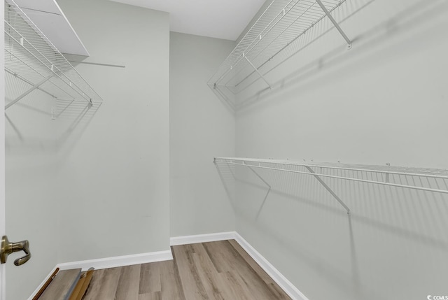 spacious closet featuring wood finished floors