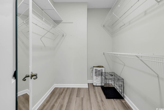 spacious closet featuring light hardwood / wood-style floors