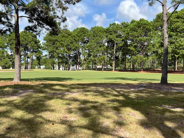 view of home's community with a lawn