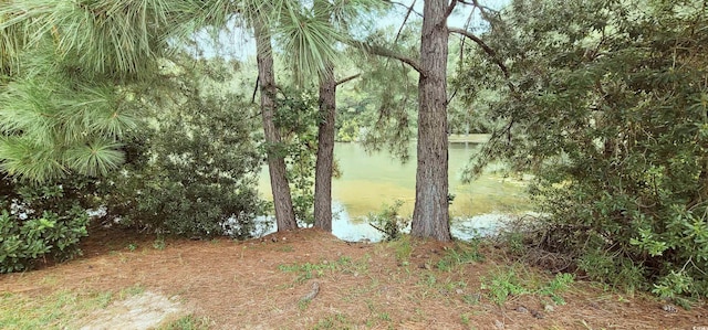 view of nature with a water view