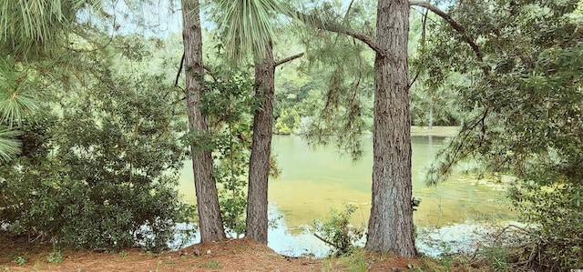 view of nature with a water view