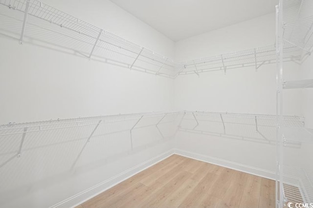 walk in closet with light wood-style floors