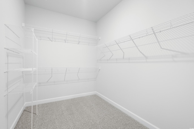 623 Blackthorne Cir NW, Calabash, NC 28467 - walk in closet featuring carpet flooring
