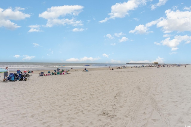 water view featuring a beach view