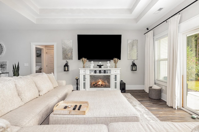 living room featuring wood-type flooring and a tray ceiling