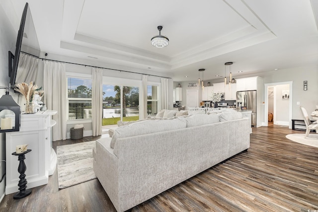 living room featuring a raised ceiling and dark wood-type flooring