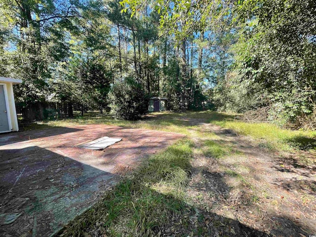 view of yard featuring a shed