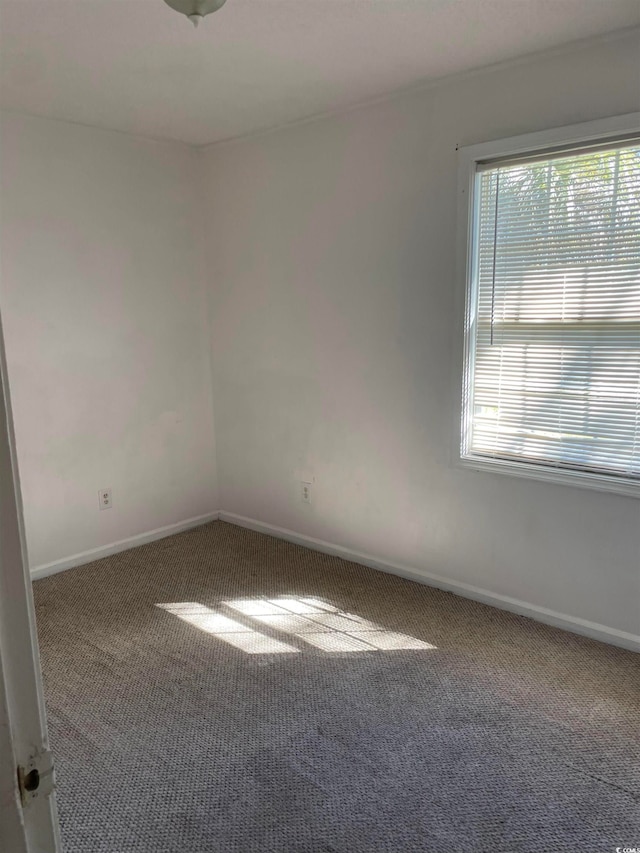 unfurnished room featuring carpet and a healthy amount of sunlight