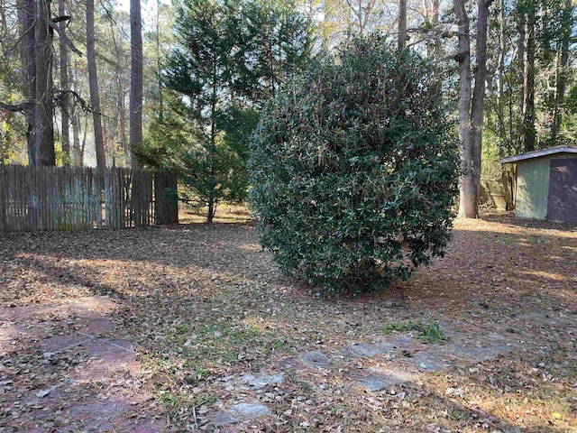 view of yard featuring a shed