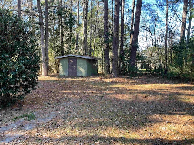 view of yard with a storage unit