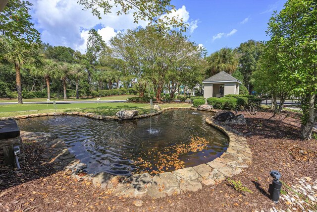 9772 Leyland Dr Unit 9772-9, Myrtle Beach, SC 29572 - view of property's community featuring a small pond and view of scattered trees