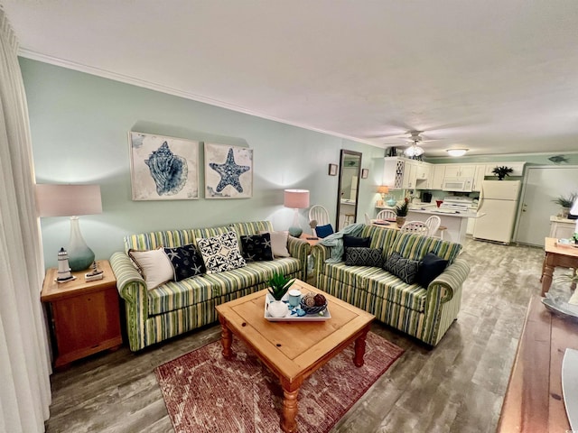 living area featuring ceiling fan, crown molding, and light wood finished floors