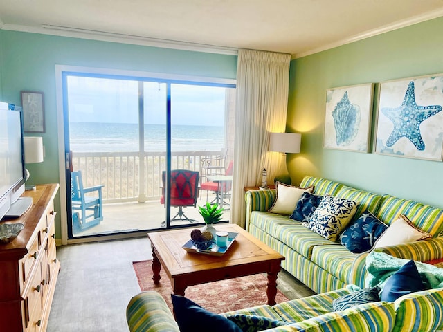 living area featuring a beach view, wood finished floors, crown molding, and a water view