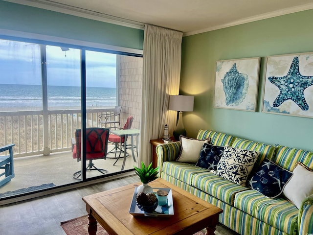 living area with a water view, a view of the beach, crown molding, and wood finished floors