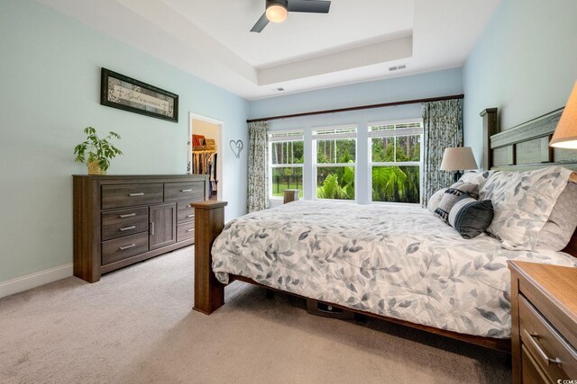 bedroom with ceiling fan, a walk in closet, a tray ceiling, and light carpet