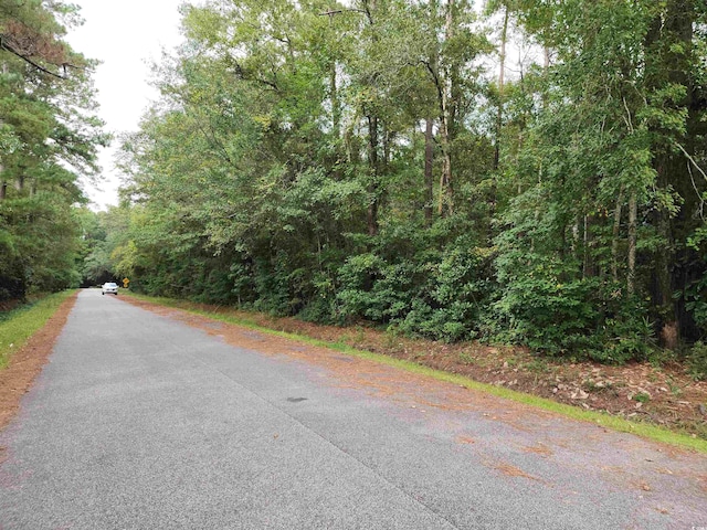 TBD Paul St, Loris SC, 29569 land for sale