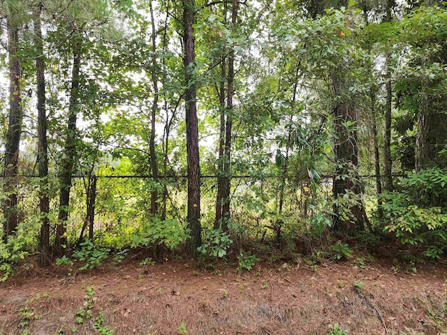 Listing photo 3 for TBD Paul St, Loris SC 29569