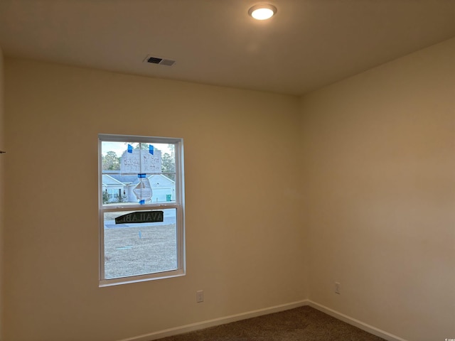 unfurnished room with carpet flooring and a wealth of natural light