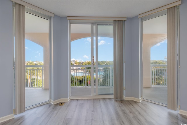 doorway featuring a wealth of natural light, light hardwood / wood-style floors, and floor to ceiling windows