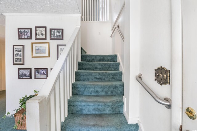 1000 Strand Ave, North Myrtle Beach, SC 29582 - staircase featuring carpet and baseboards
