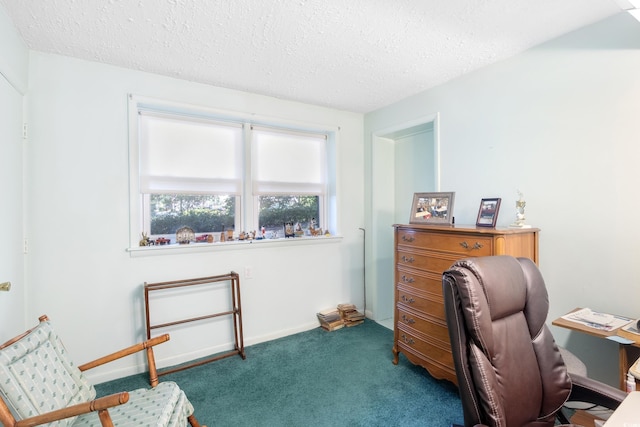 1000 Strand Ave, North Myrtle Beach, SC 29582 - home office featuring a textured ceiling and carpet