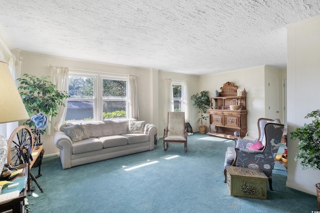 carpeted living room with a textured ceiling