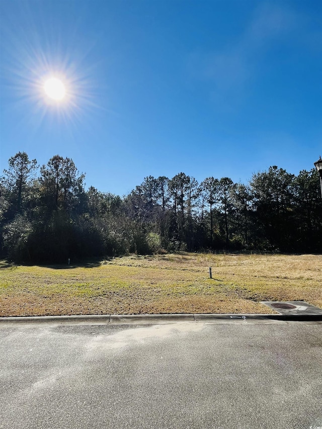 Listing photo 3 for LOT31 Oak Bay Dr, Georgetown SC 29440