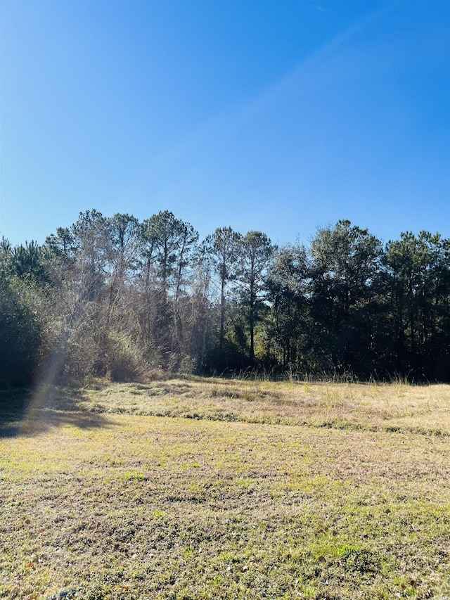 LOT31 Oak Bay Dr, Georgetown SC, 29440 land for sale