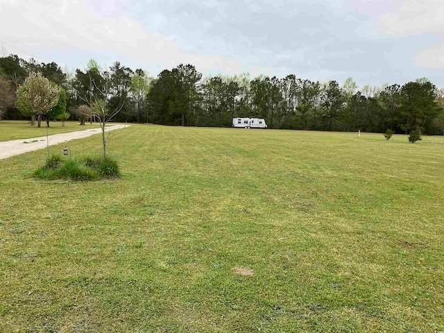 TBD Volunteer Dr, Loris SC, 29569 land for sale