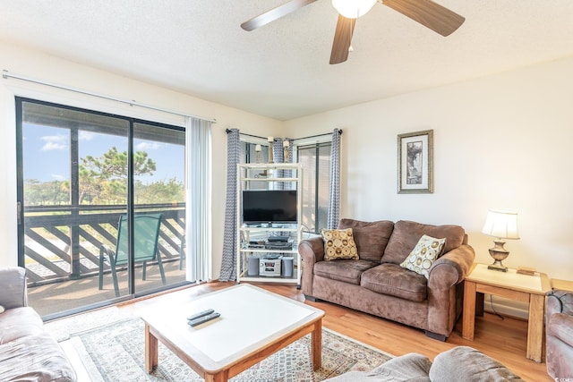 living room with ceiling fan, a textured ceiling, and light hardwood / wood-style flooring