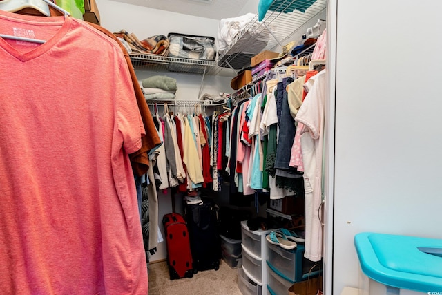 spacious closet with carpet floors