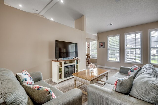 living room featuring light colored carpet, a textured ceiling, and a healthy amount of sunlight